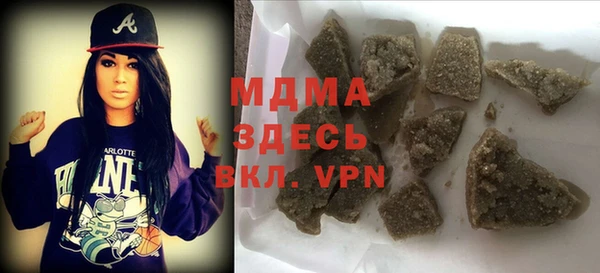 индика Алексин