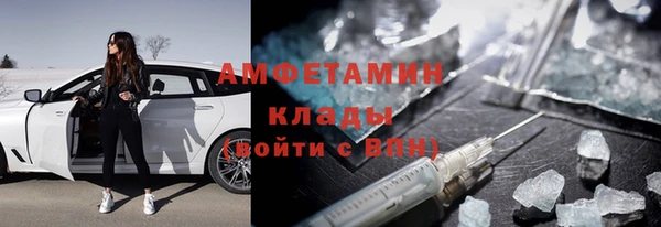 индика Алексин