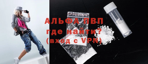 индика Алексин