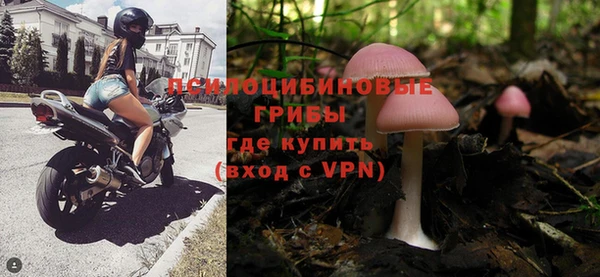каннабис Алзамай