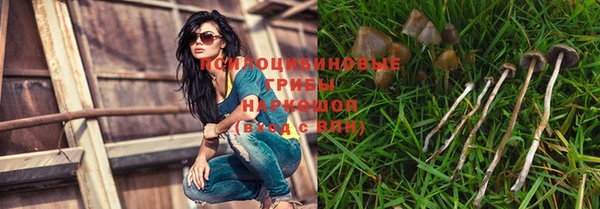 индика Алексин