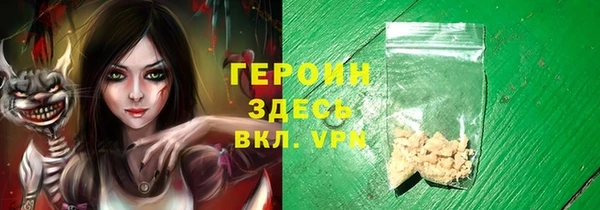 индика Алексин