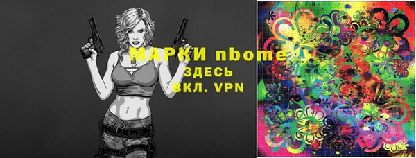 индика Алексин
