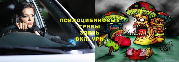 гидропоника Рославль