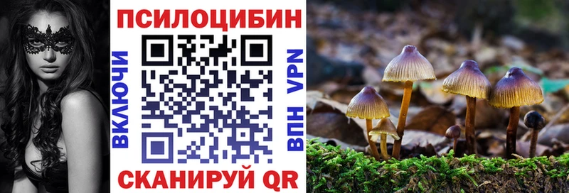 магазин    Борзя  Псилоцибиновые грибы мицелий 